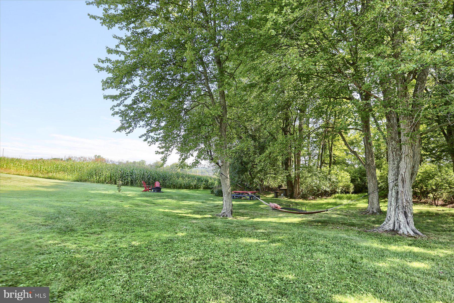 226 Ammon Road Elverson, PA 19520 - Photo 54 of 62 Yard (pic 1)
