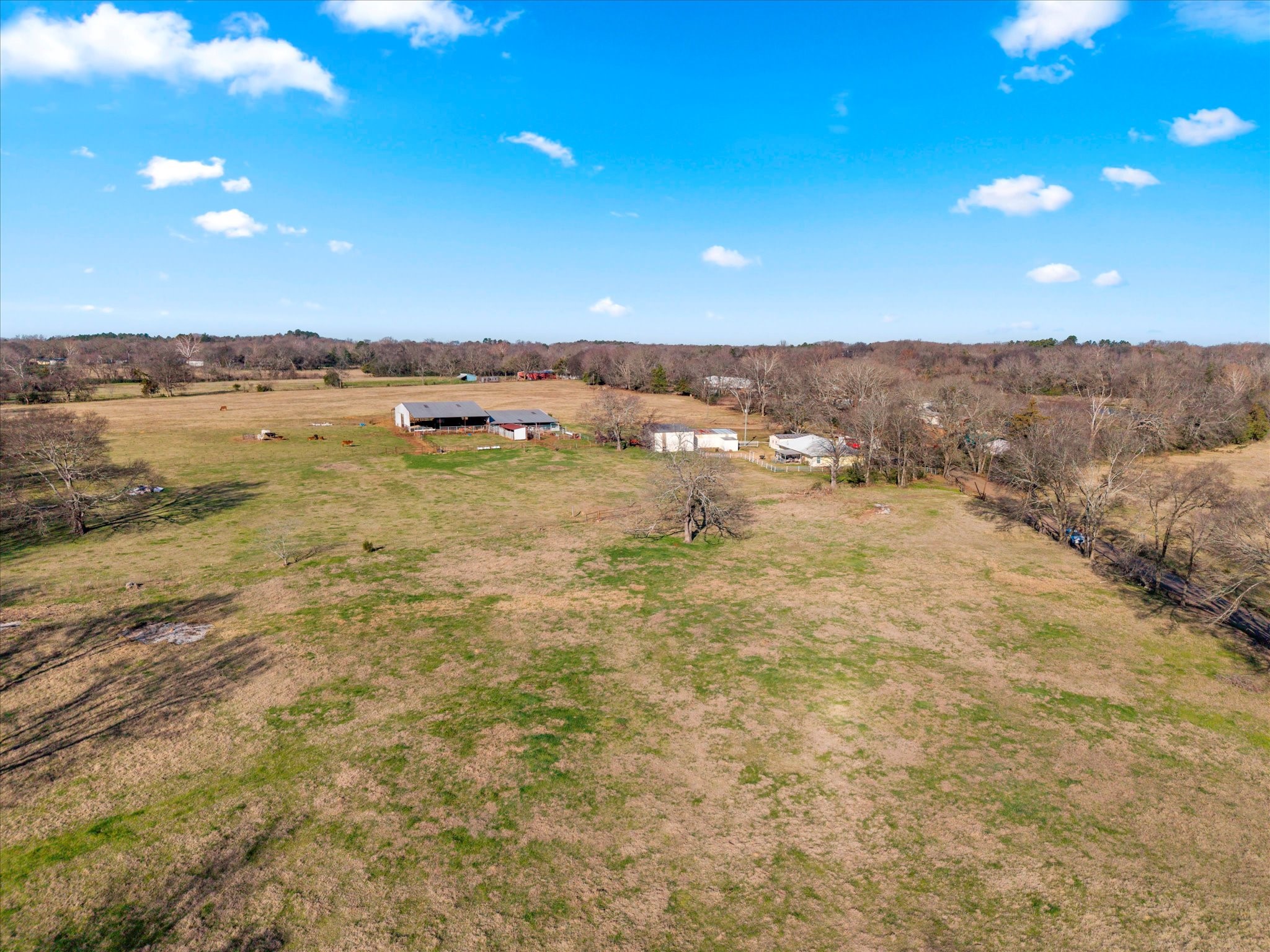 4315 County Road Omaha, TX 75571 - Photo 6 of 19