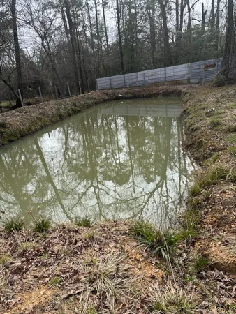 a view of swimming pool with a yard