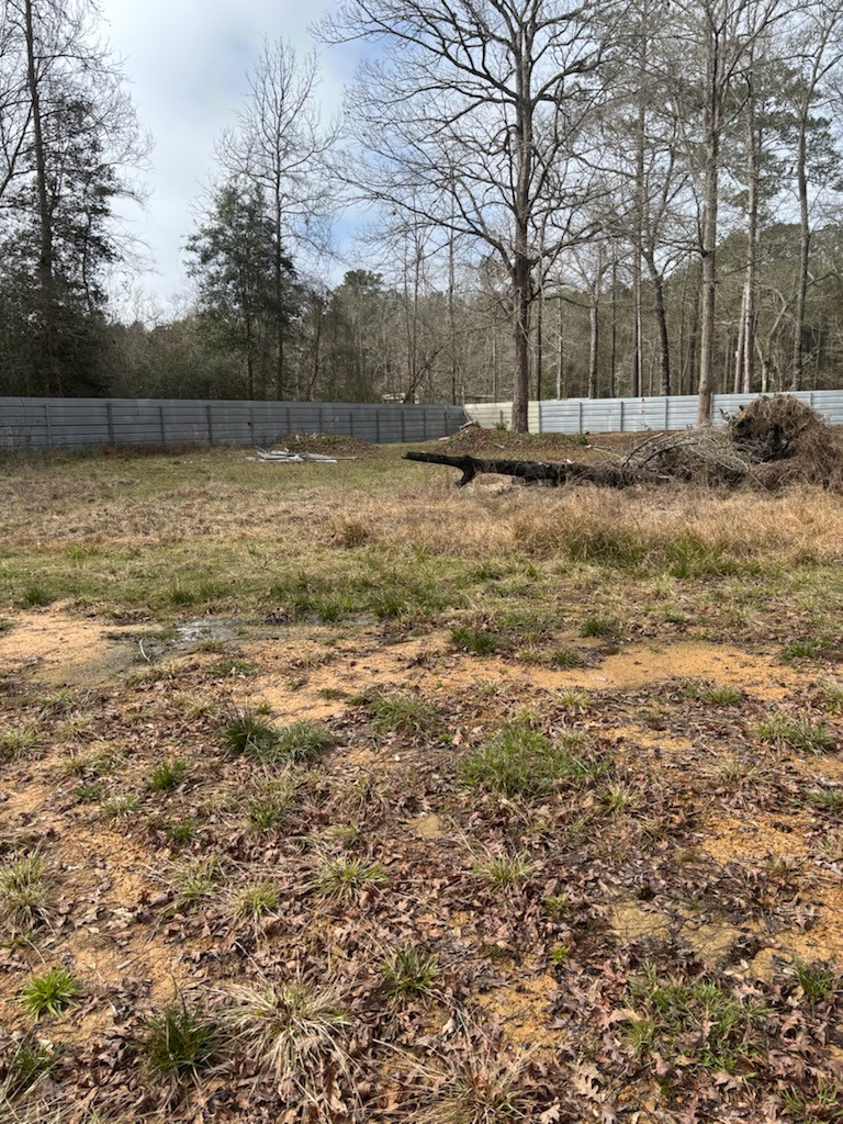 41 Deer Run Road Shepherd, TX 77371 - Photo 2 of 6