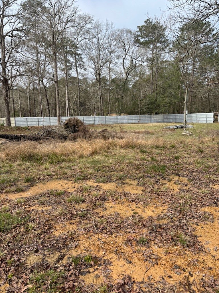 41 Deer Run Road Shepherd, TX 77371 - Photo 4 of 6