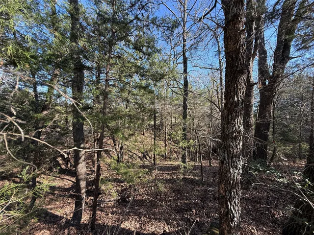 $198,000 | 221 St Fairfield Tx 75840, Fairfield, TX 75840