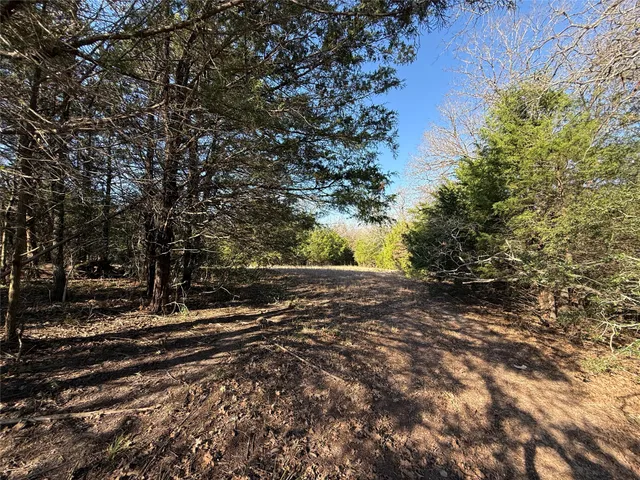a view of a yard with large trees