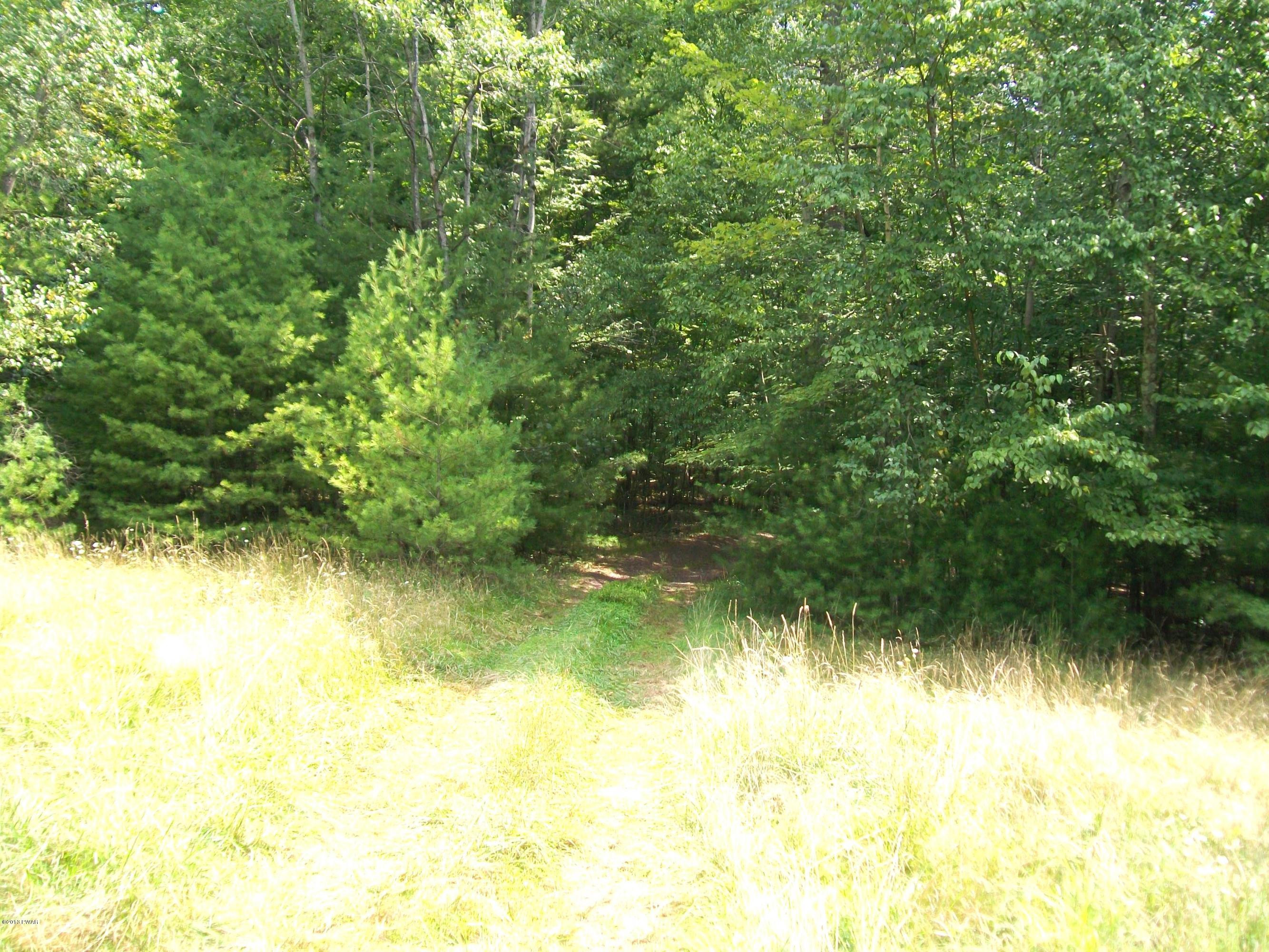 590 Creek Road Dingmans Ferry, PA 18328 - Photo 5 of 5