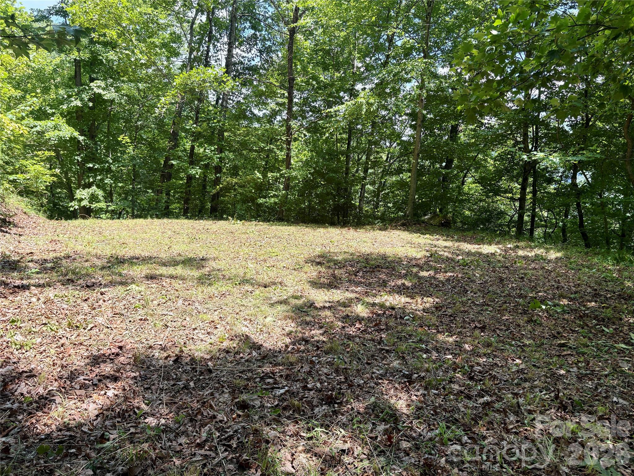 0 Eagles Roost Road, Unit 70 Bryson City, NC 28713 - Photo 4 of 14 a view of a yard with a tree