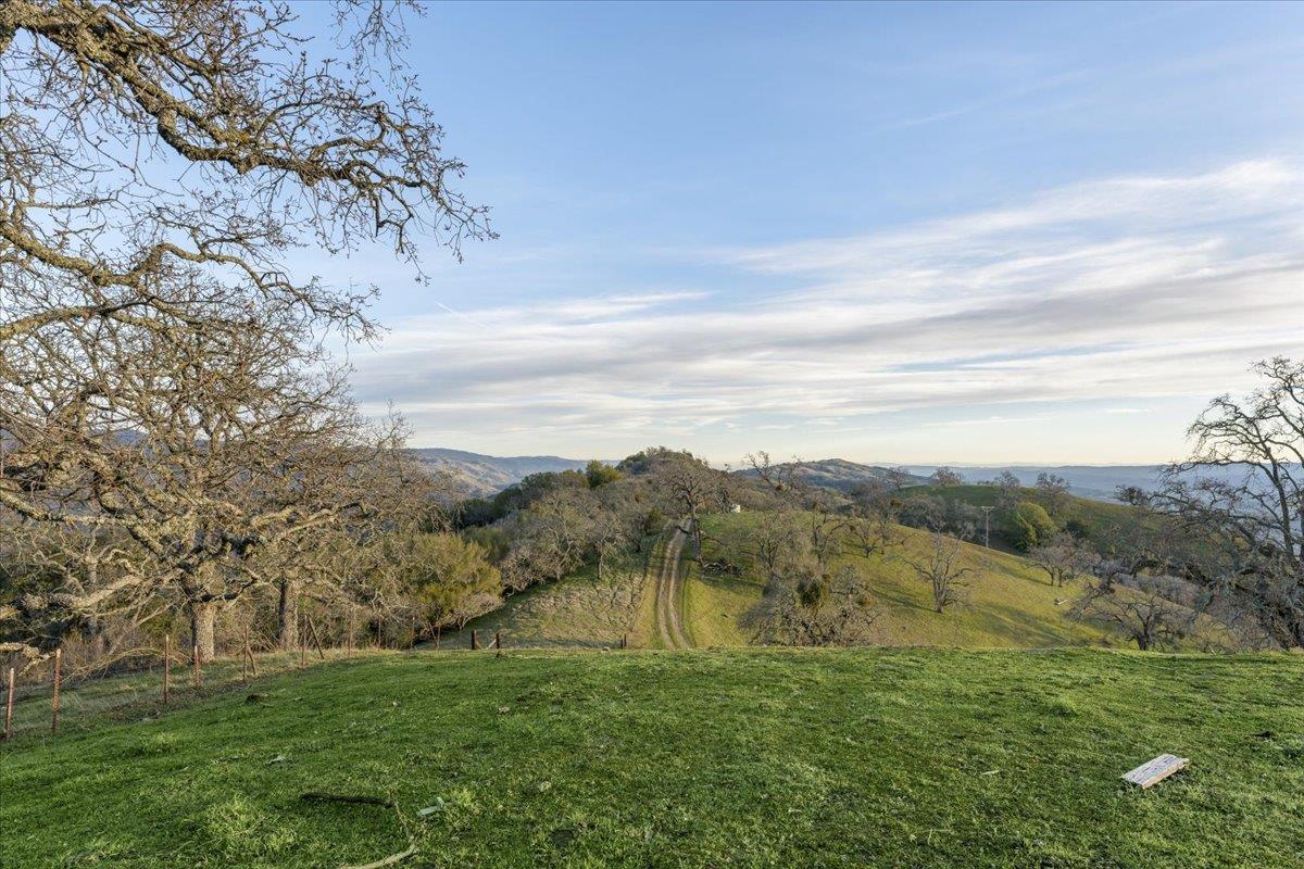 4510 Quimby Road San Jose, CA 95140 - Photo 11 of 22 a view of an outdoor space and a yard