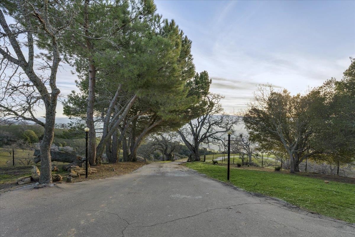 4510 Quimby Road San Jose, CA 95140 - Photo 13 of 22 a view of a park with large trees