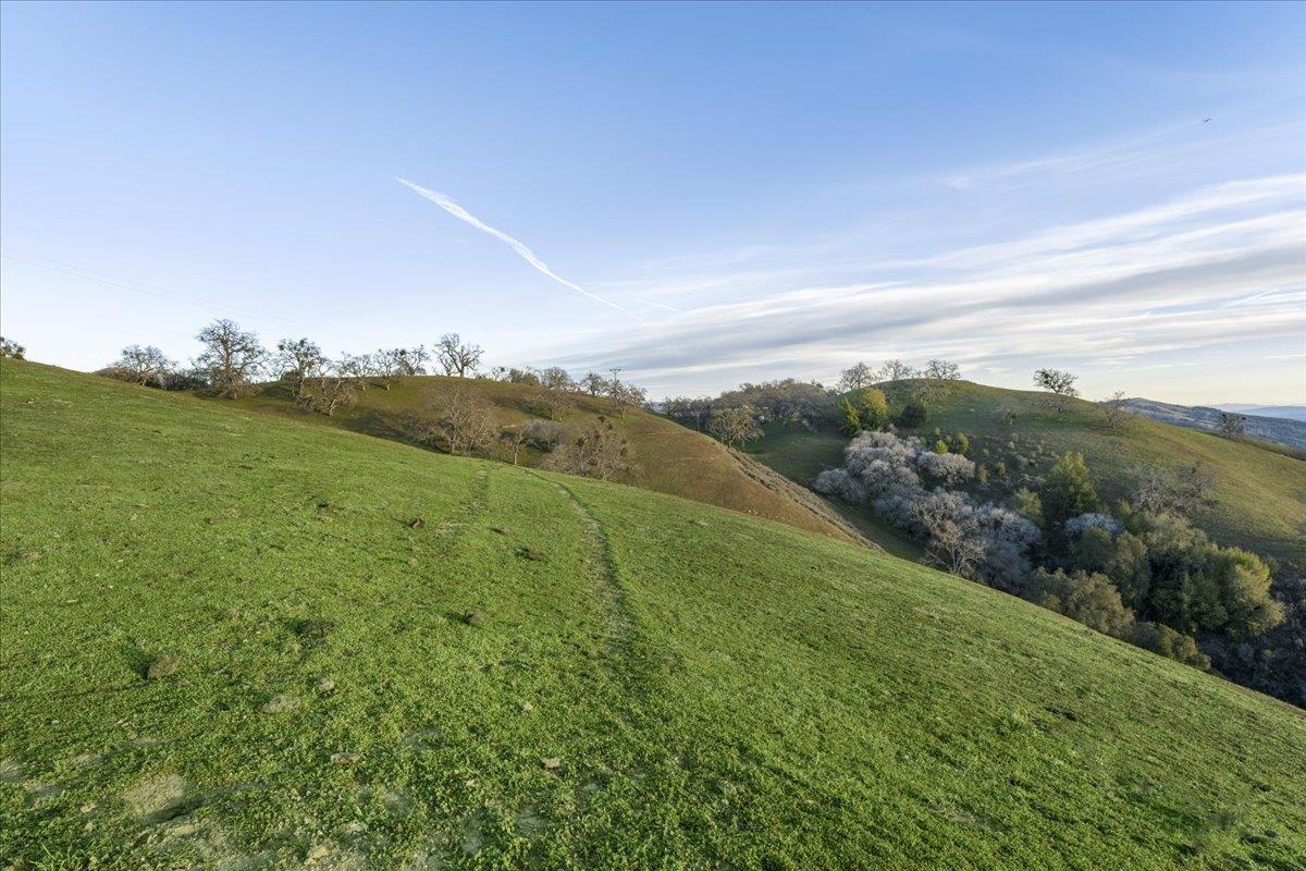 4510 Quimby Road San Jose, CA 95140 - Photo 14 of 22 a view of a field with an ocean