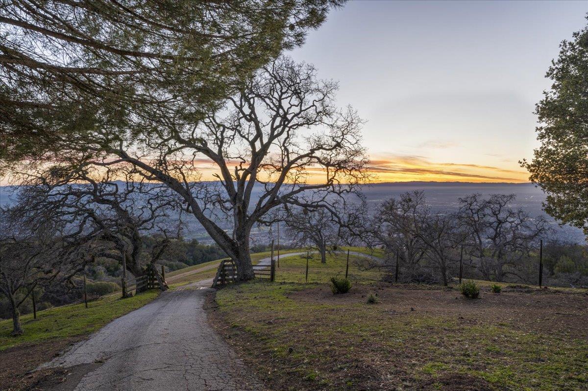 4510 Quimby Road San Jose, CA 95140 - Photo 2 of 22 a view of a outdoor space with trees around