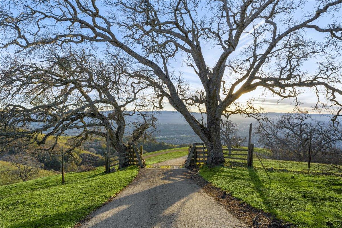 4510 Quimby Road San Jose, CA 95140 - Photo 22 of 22 a view of a yard in front of a house