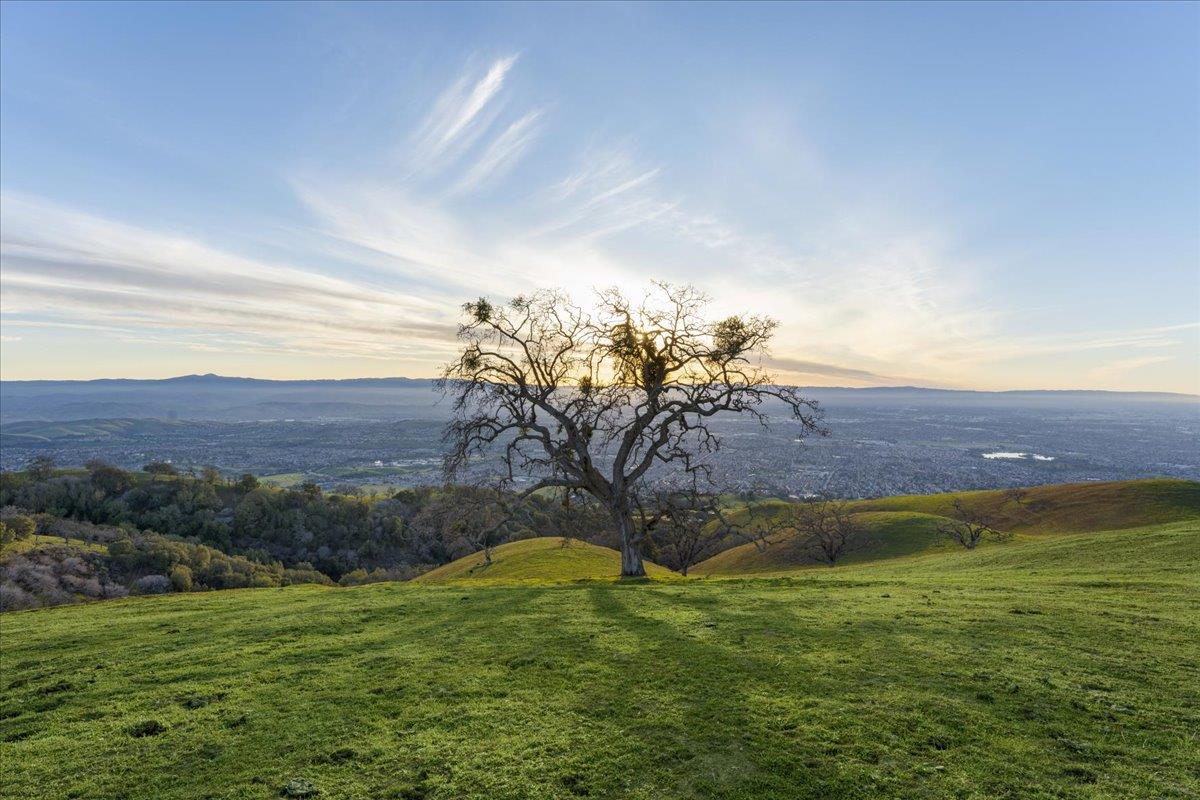 4510 Quimby Road San Jose, CA 95140 - Photo 4 of 22 a view of an outdoor space and mountain view