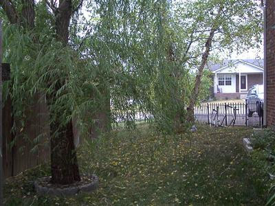 104 Fox Run Road Wilmore, KY 40390 - Photo 14 of 14 Photo 14