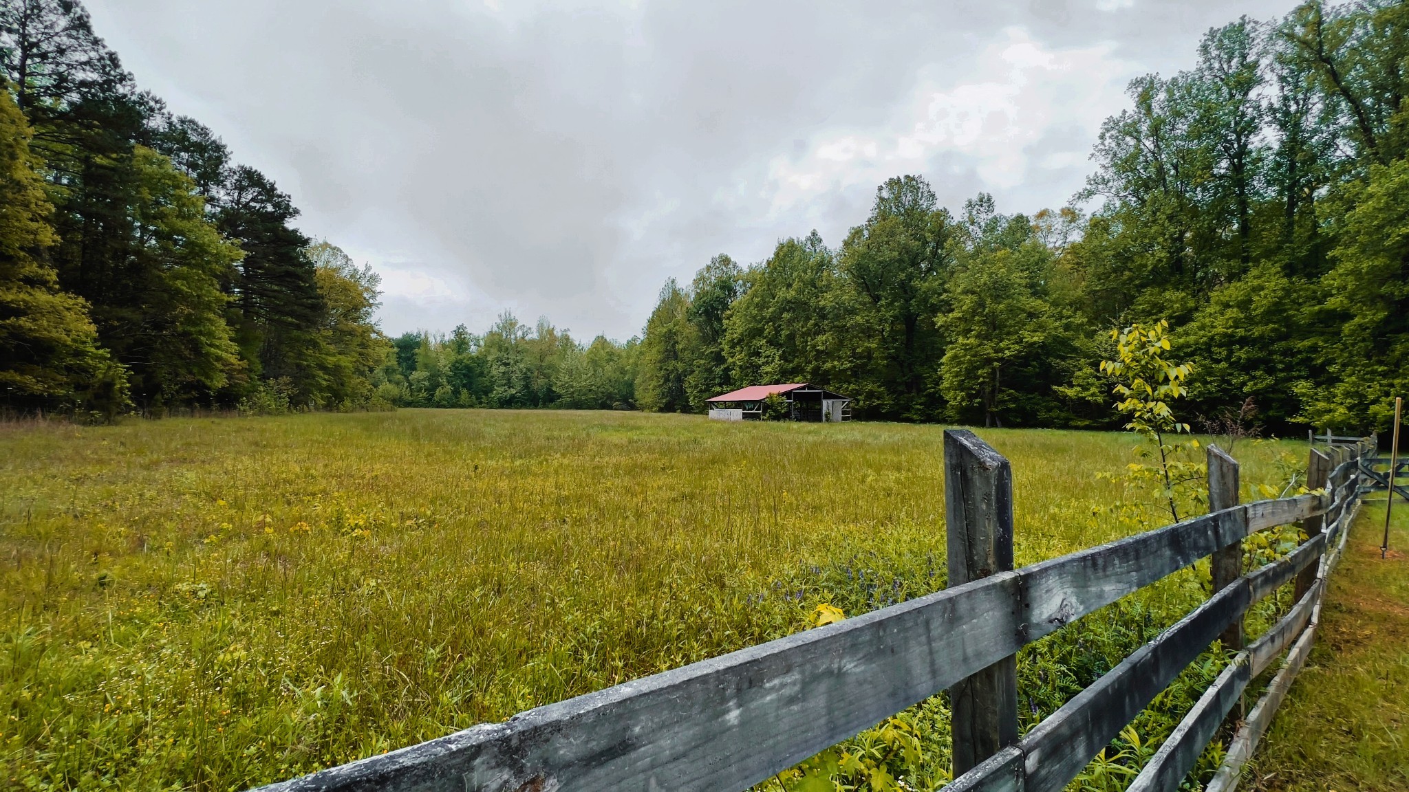 4027 Forrest Hill Road Bolivar, TN 38008 - Photo 2 of 32 a view of a balcony with an outdoor space