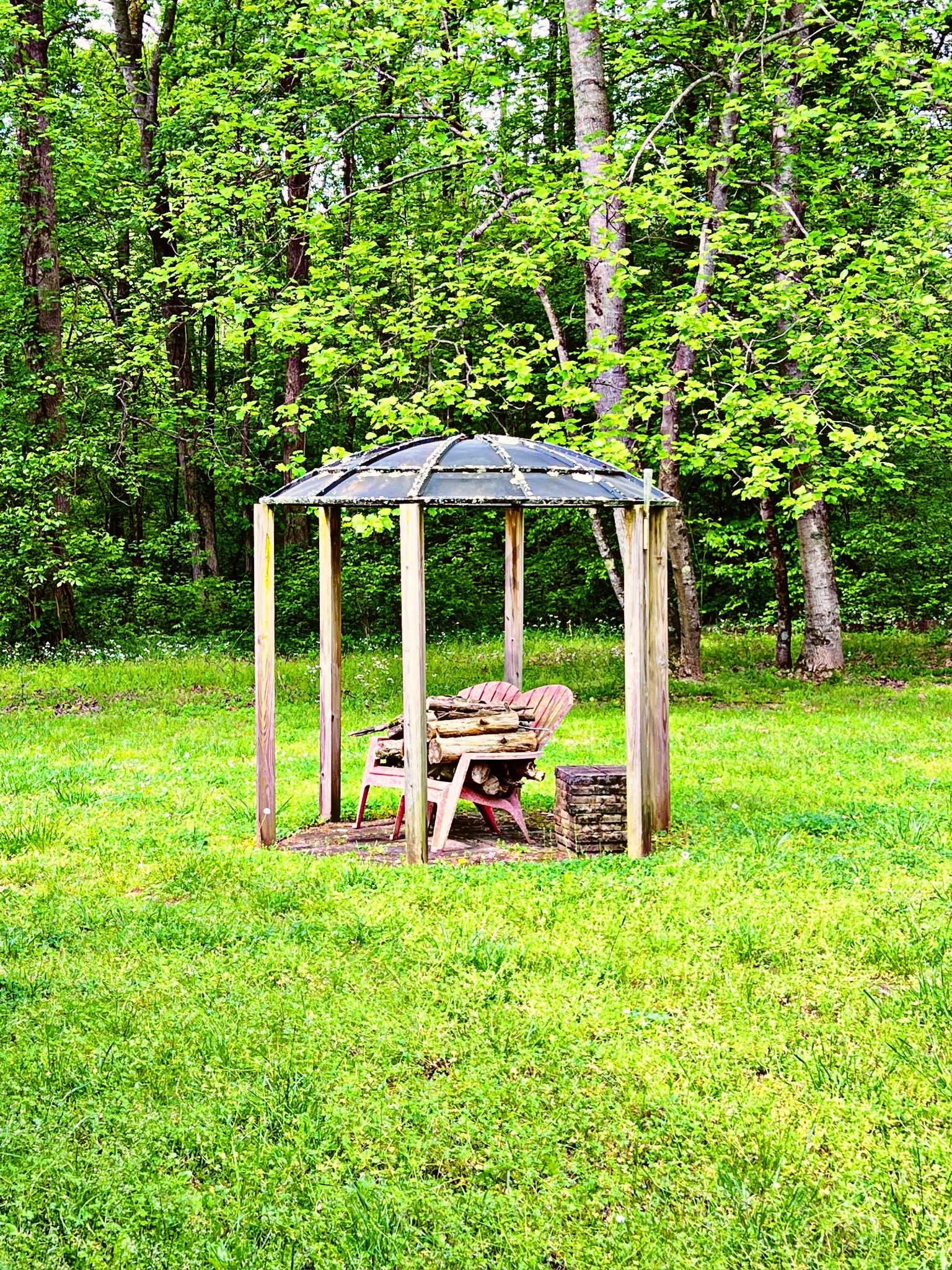 4027 Forrest Hill Road Bolivar, TN 38008 - Photo 7 of 32 a view of a house with backyard and a tree
