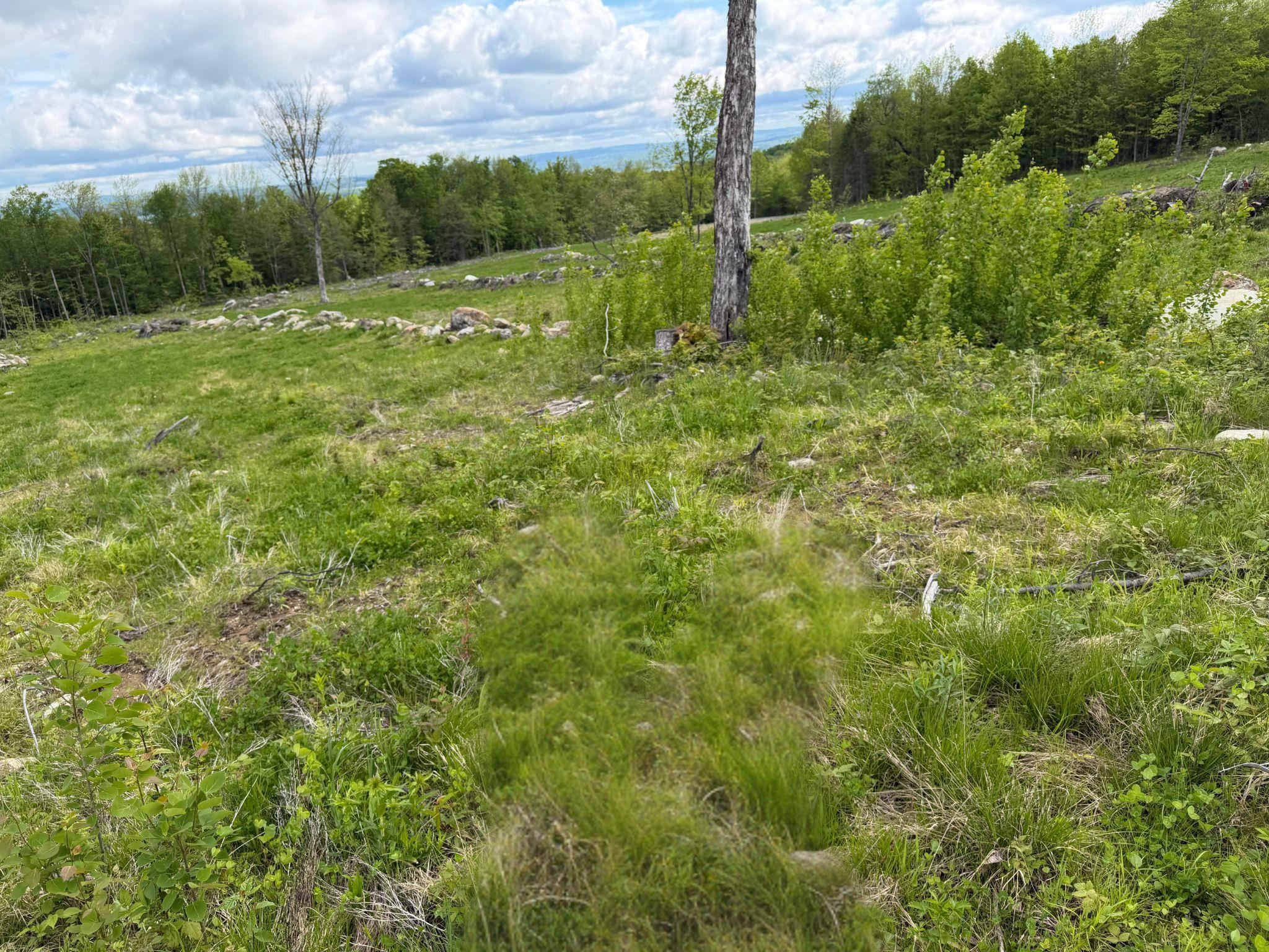 0 Gibbs Road, Unit LOT #2 Newport Center, VT 05857 - Photo 9 of 11