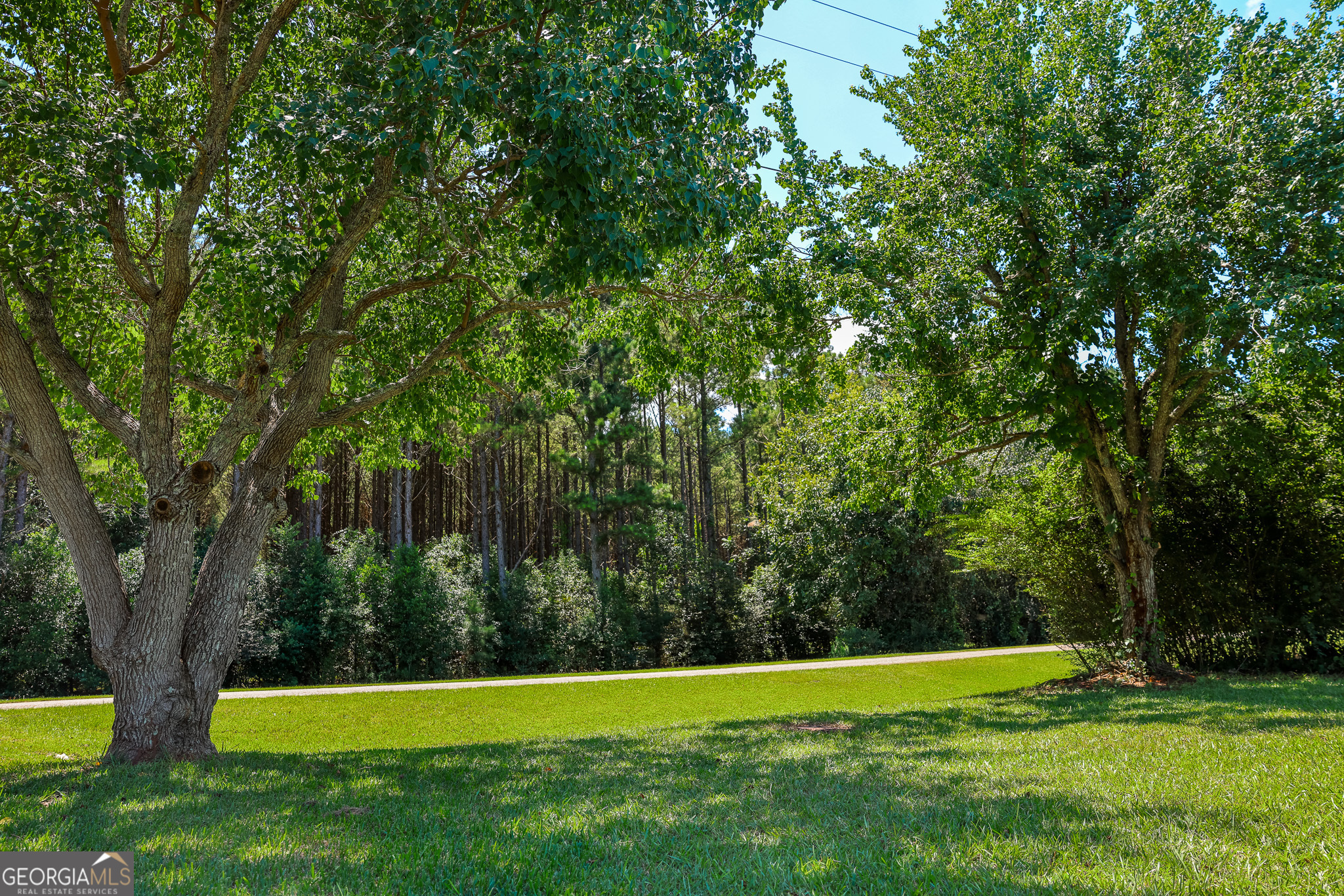 540 Veneys Mill Pond Road Parrott, GA 39877 - Photo 14 of 21 a view of green field with trees in the background