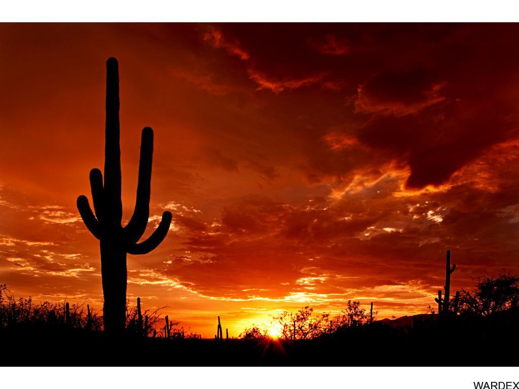 5-acres Earls Road Dolan Springs, AZ 86441 - Photo 12 of 13 Additional Photo