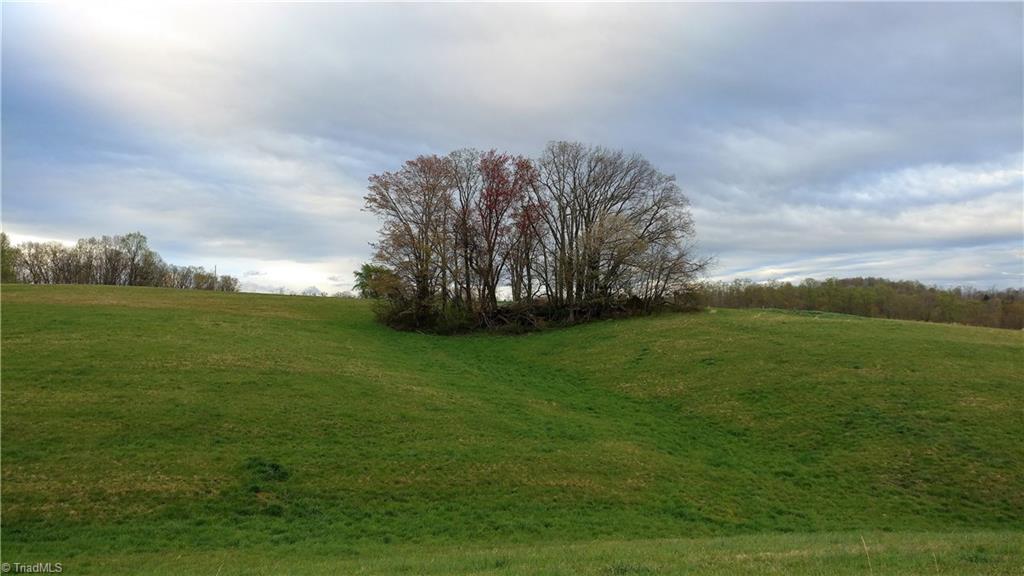 1041 Norman Road Mount Airy, NC 27030 - Photo 8 of 23 Gallery Image 8