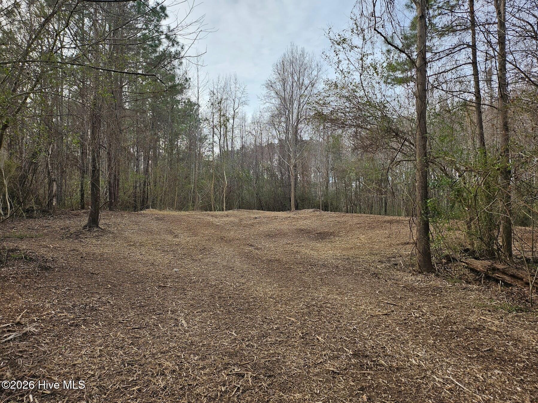 227 Langley Road Chocowinity, NC 27817 - Photo 5 of 16