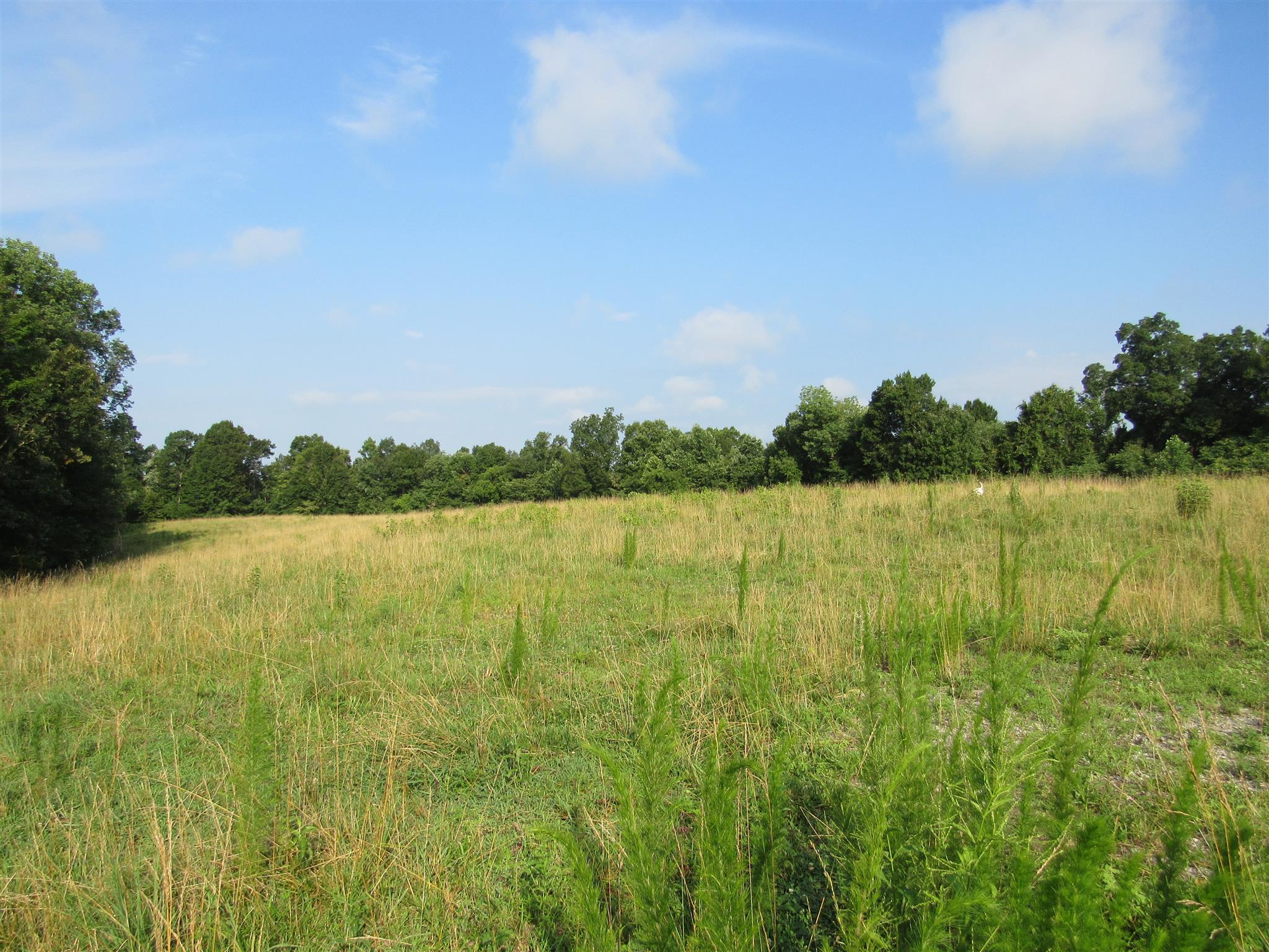 4580 Shannon Creek Road Goodspring, TN 38460 - Photo 13 of 25