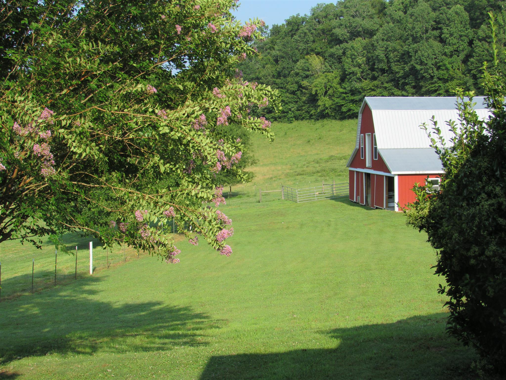4580 Shannon Creek Road Goodspring, TN 38460 - Photo 20 of 25 a view of a trees with a yard