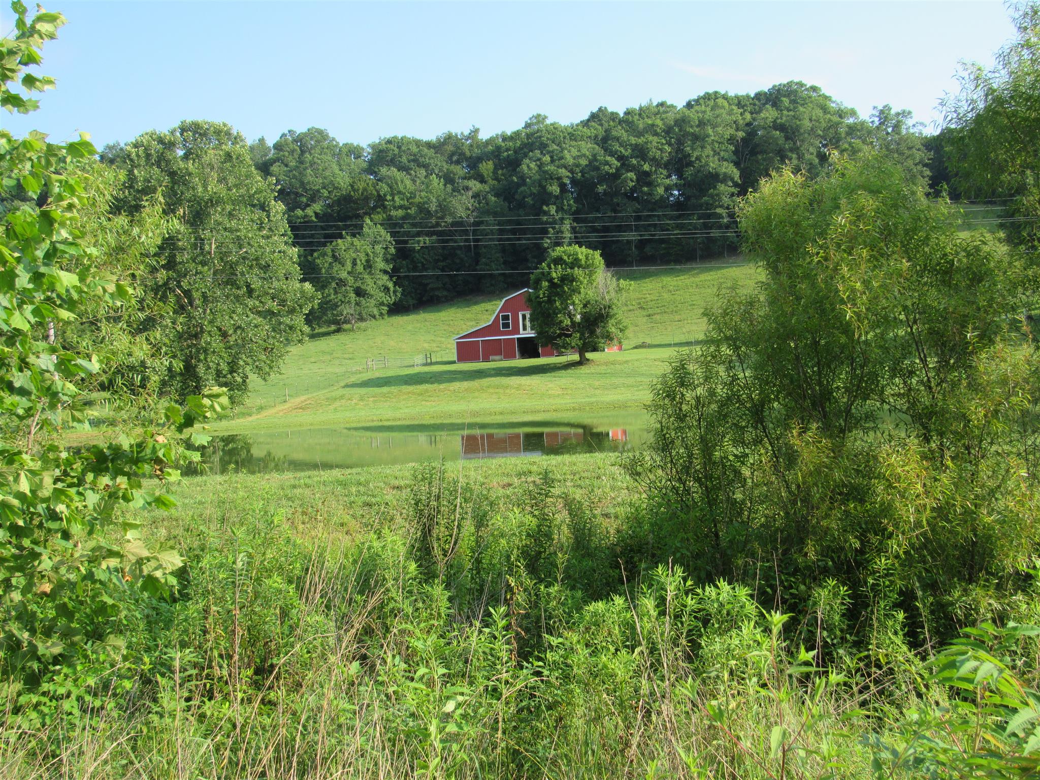 4580 Shannon Creek Road Goodspring, TN 38460 - Photo 3 of 25 a big yard with lots of green space