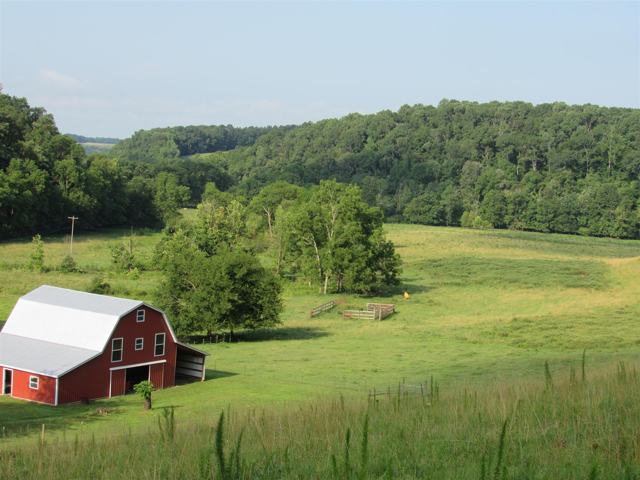 4580 Shannon Creek Road Goodspring, TN 38460 - Photo 21 of 25 a view of a big yard with potted plants and large trees