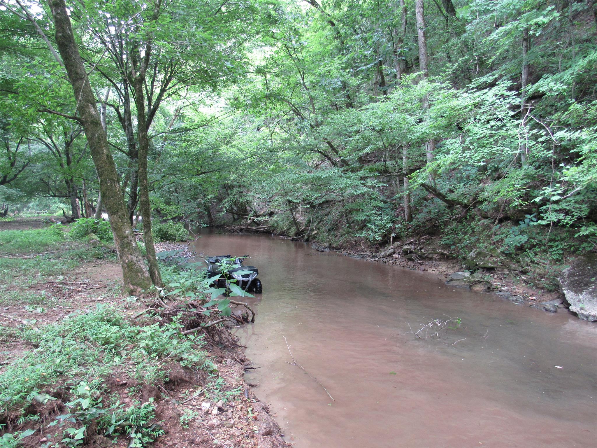 4580 Shannon Creek Road Goodspring, TN 38460 - Photo 24 of 25 a view of a forest with trees in the background