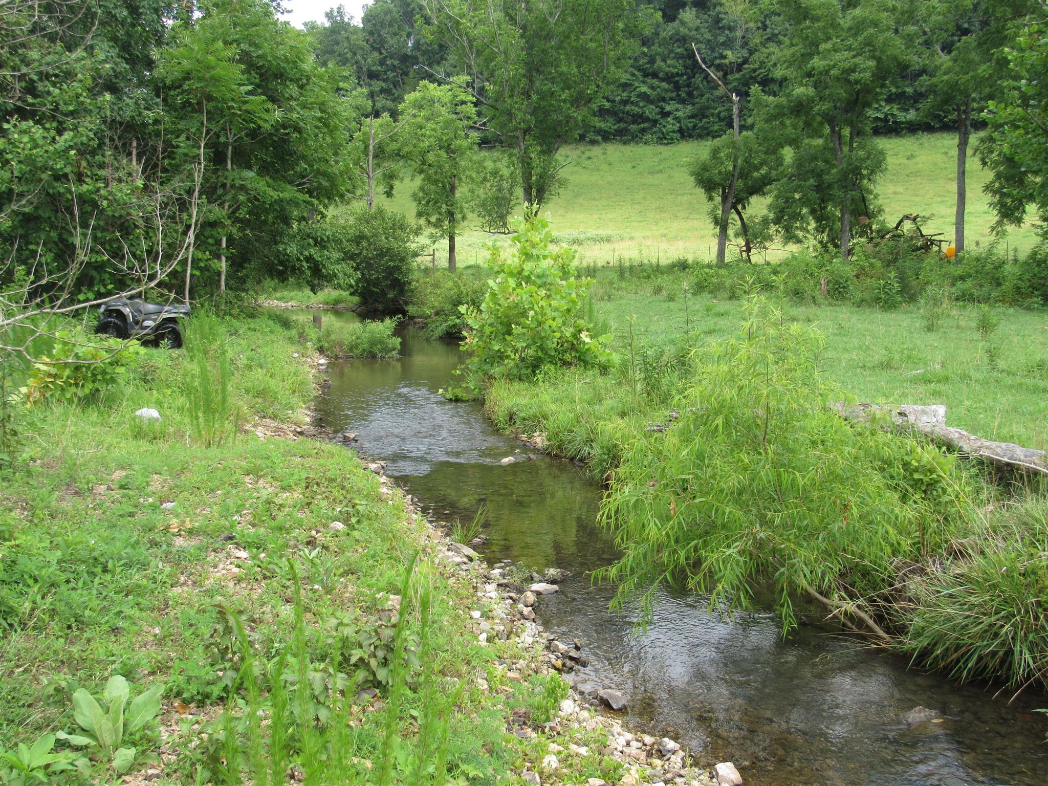 4580 Shannon Creek Road Goodspring, TN 38460 - Photo 6 of 25 a view of a lush green space