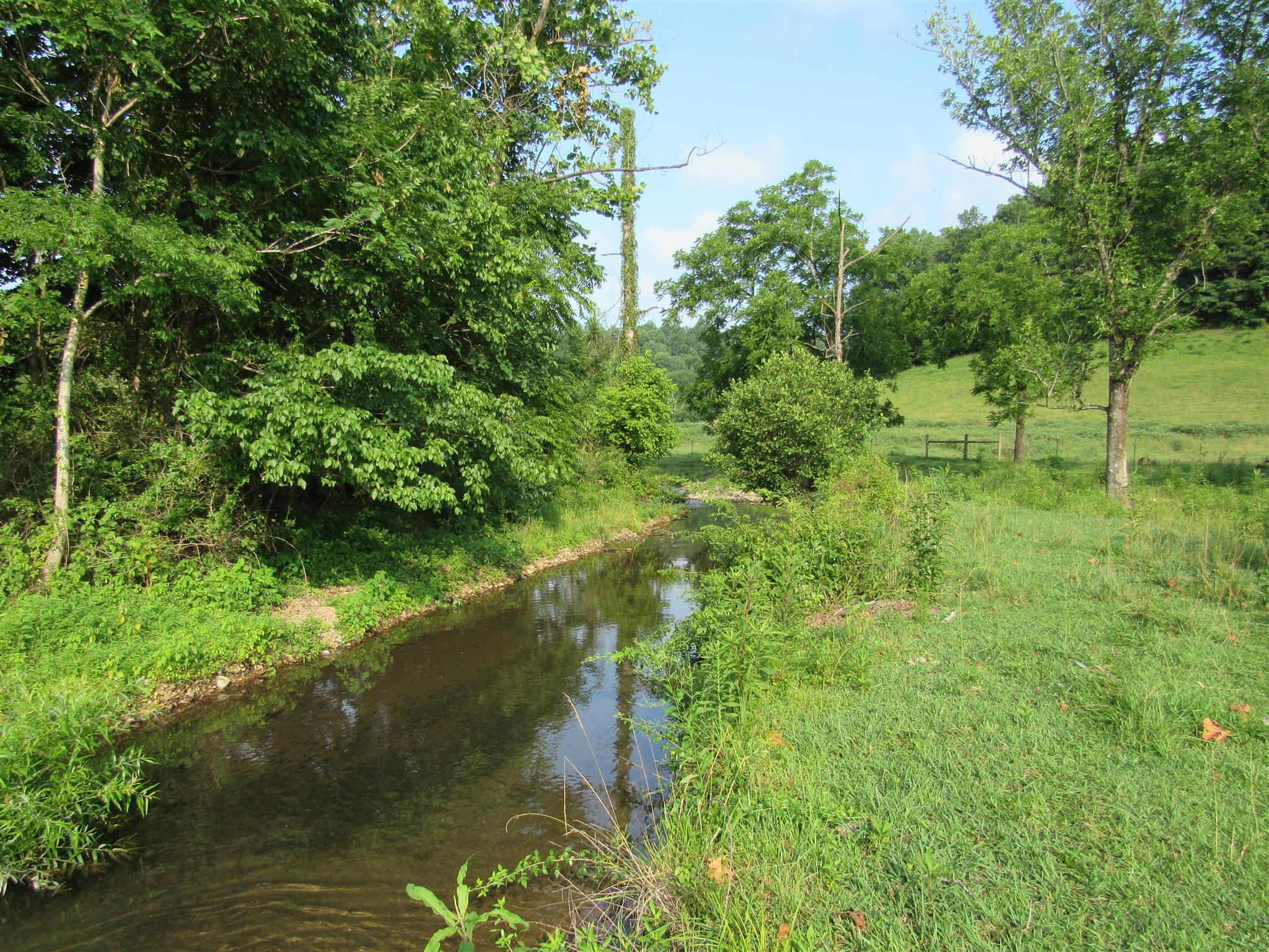 4580 Shannon Creek Road Goodspring, TN 38460 - Photo 10 of 25 a view of a lush green forest with lots of trees