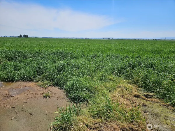 $1,700,000 | 314184000 Highway 281, Quincy, WA 98848