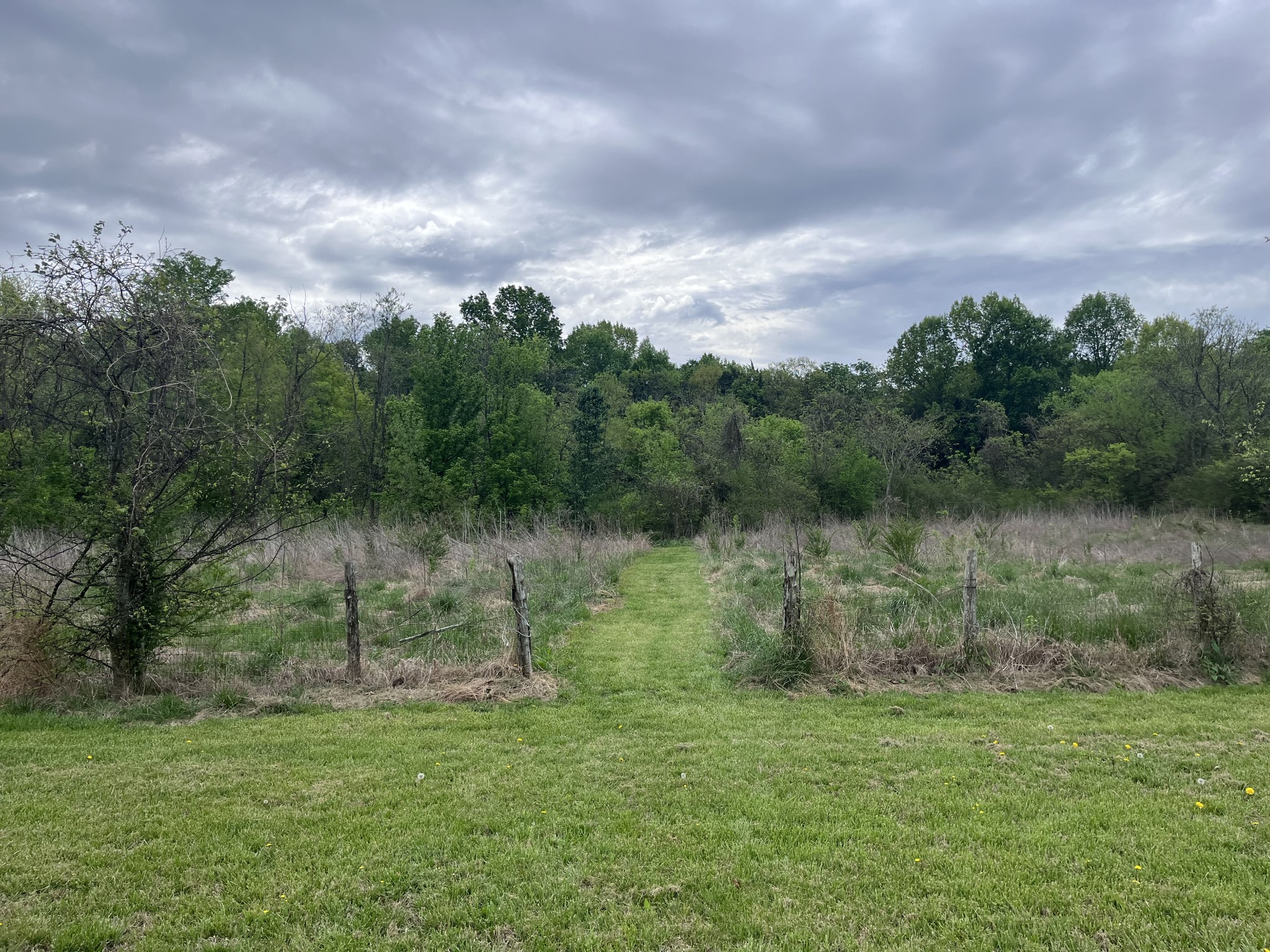 826 Old Rome Pike Lebanon, TN 37087 - Photo 20 of 65 Gallery Image 20