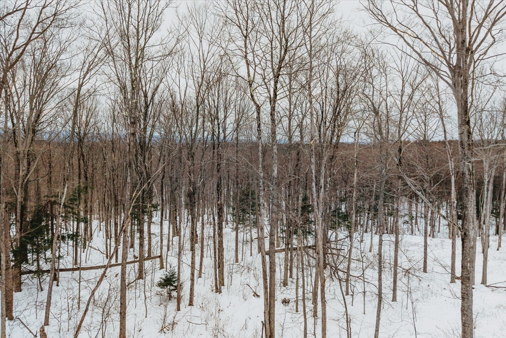 0 Blueberry Hill Road Westhampton, MA 01027 - Photo 11 of 13