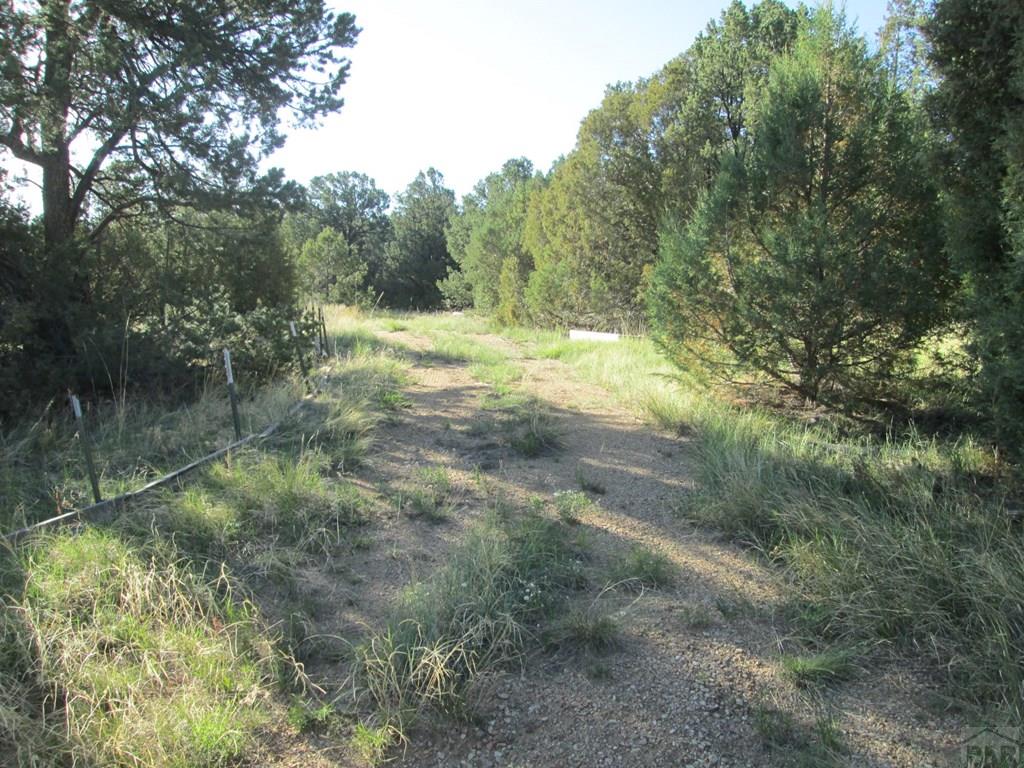 Lot #2 Milligan Ranch Gardner, CO 81040 - Photo 26 of 35 Gallery Image 26