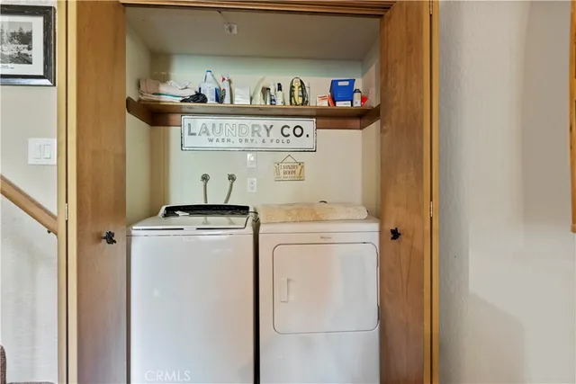 a view of a tree in a yard