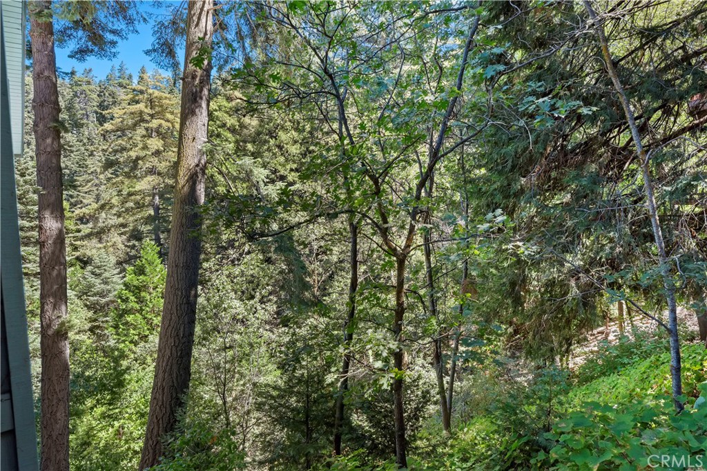 615 Wellesley Lake Arrowhead, CA 92352 - Photo 32 of 45 a view of a forest that has tall trees