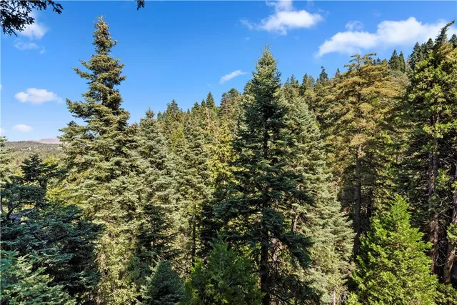 $495,000 | 615 Wellesley, Lake Arrowhead, CA 92352