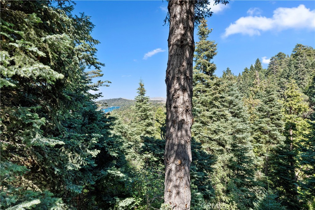 615 Wellesley Lake Arrowhead, CA 92352 - Photo 36 of 45 a view of a tree in a yard