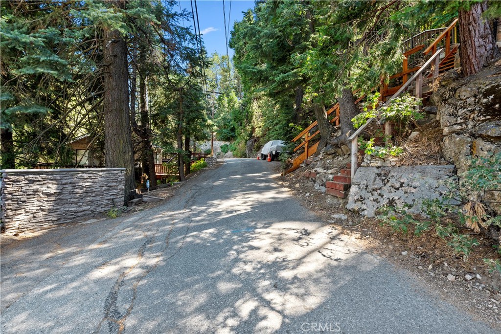 615 Wellesley Lake Arrowhead, CA 92352 - Photo 45 of 45 a view of a forest with trees