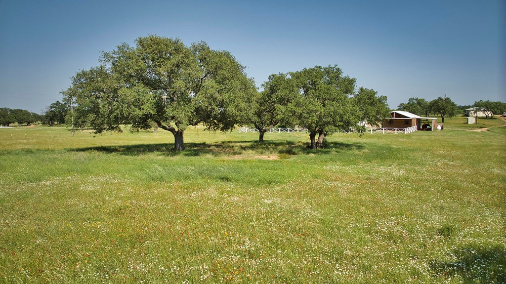 754 Ischar Street Mason, TX 76856 - Photo 10 of 38