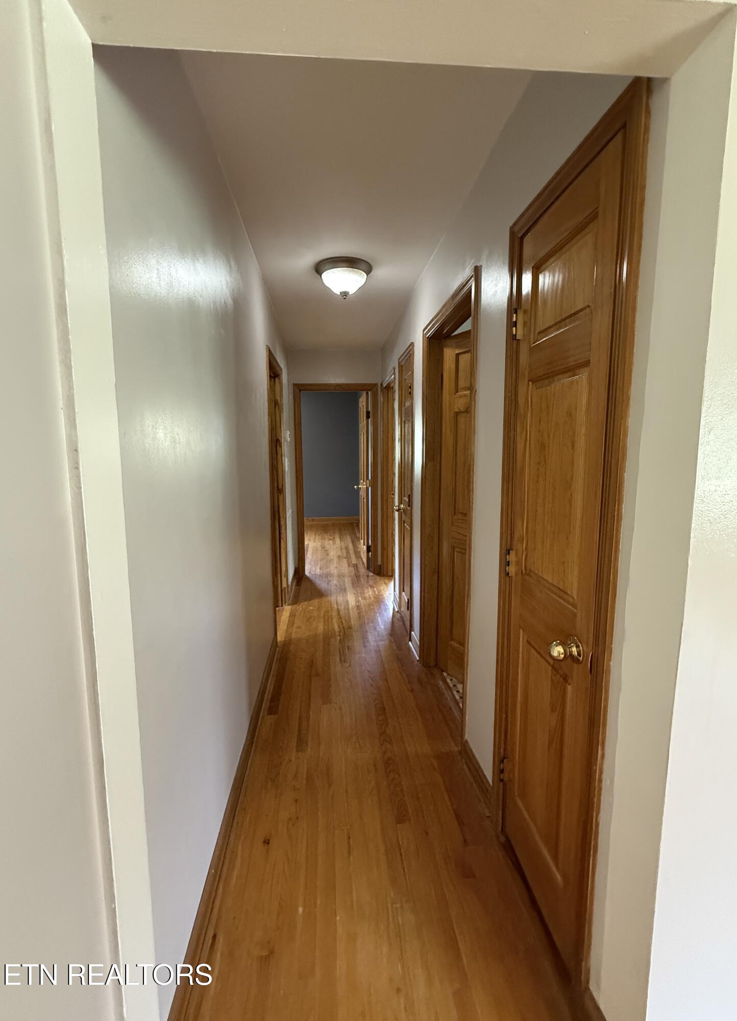 3415 Hackberry Road Knoxville, TN 37931 - Photo 11 of 31 IMG_0708