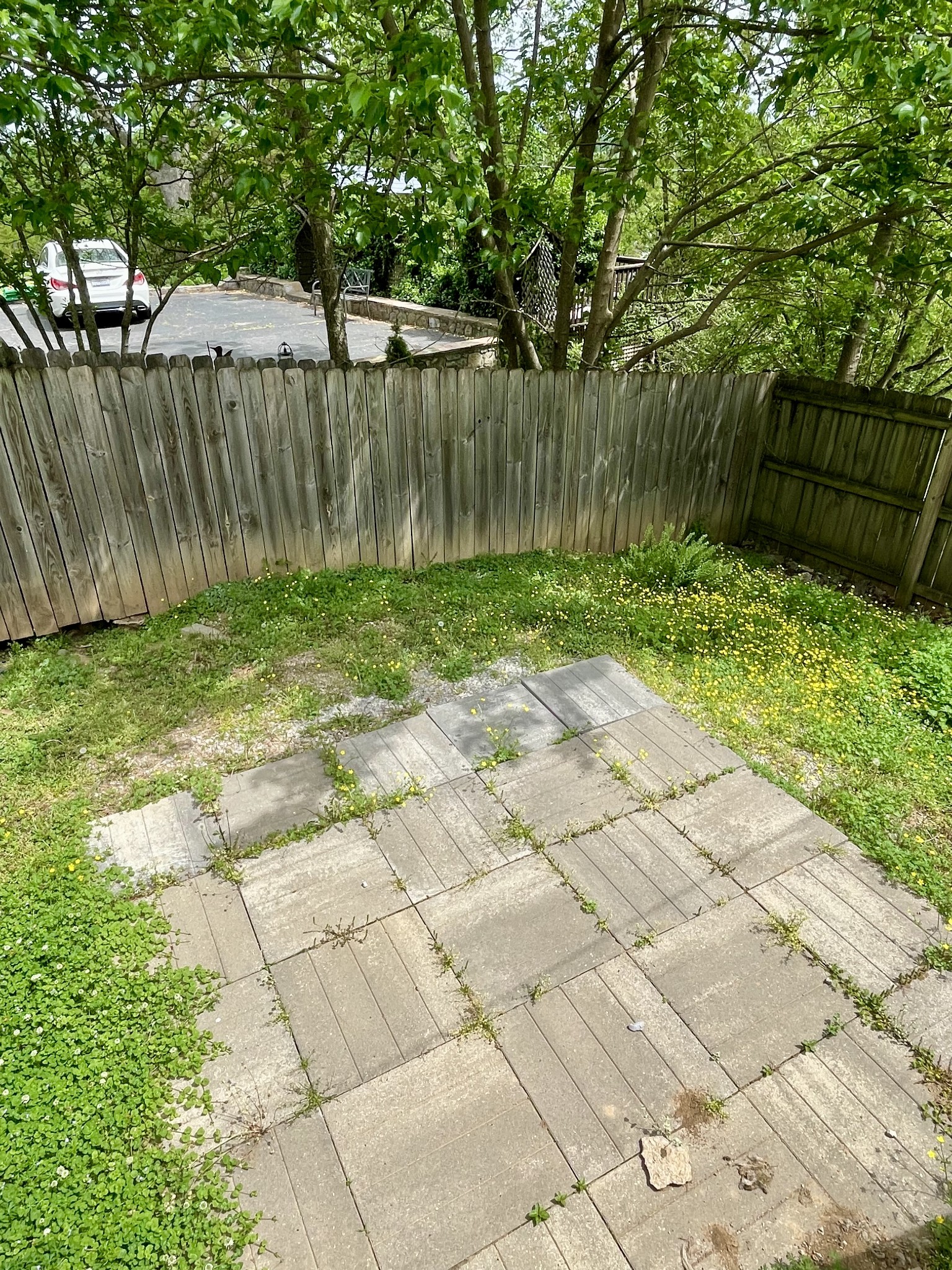 233 Riverside Drive Nashville, TN 37206 - Photo 8 of 23