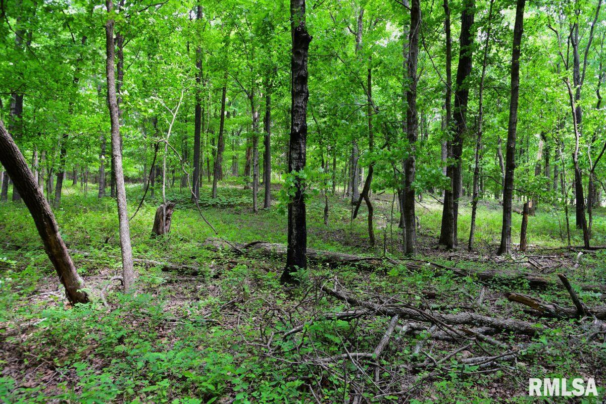 3 Battleford Road Stonefort, IL 62987 - Photo 11 of 25