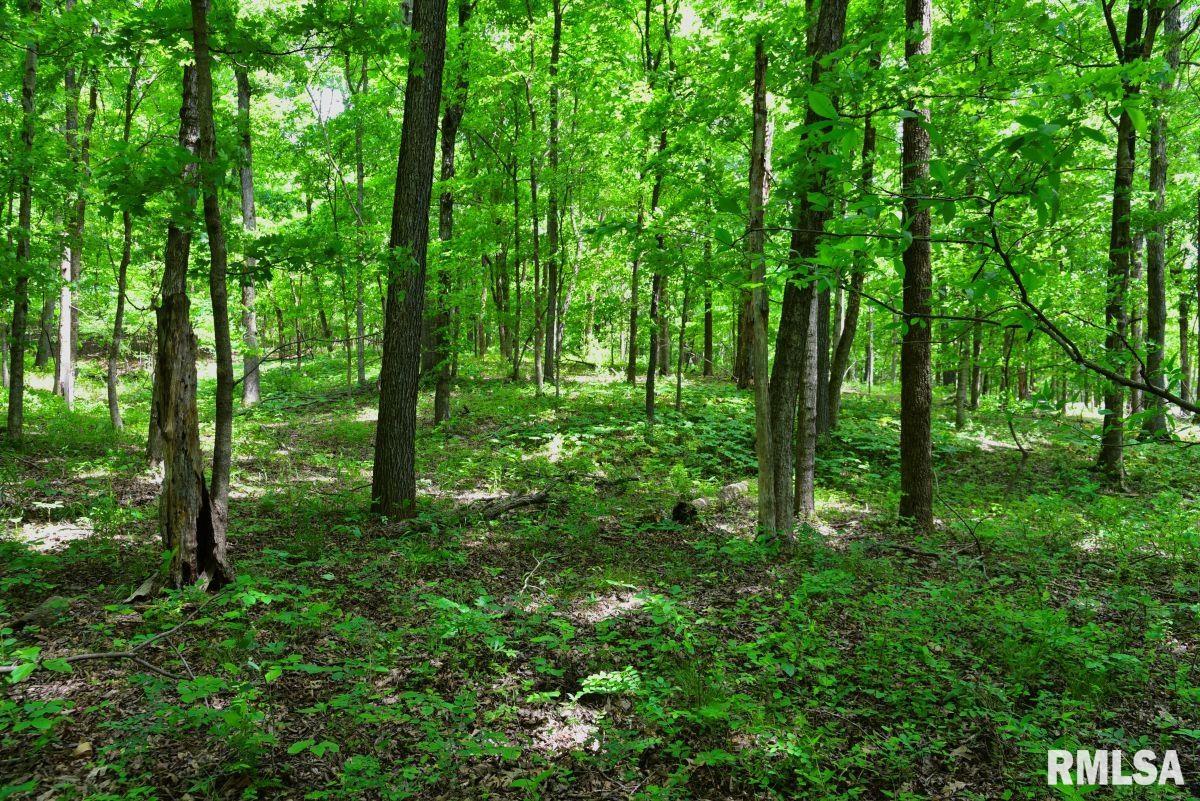 3 Battleford Road Stonefort, IL 62987 - Photo 12 of 25