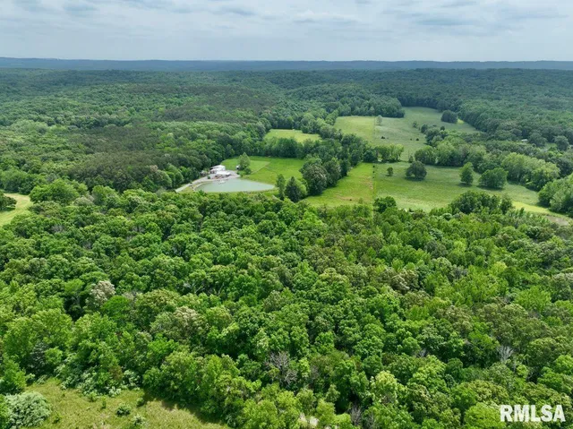 $42,875 | 3 Battleford Road, Stonefort, IL 62987