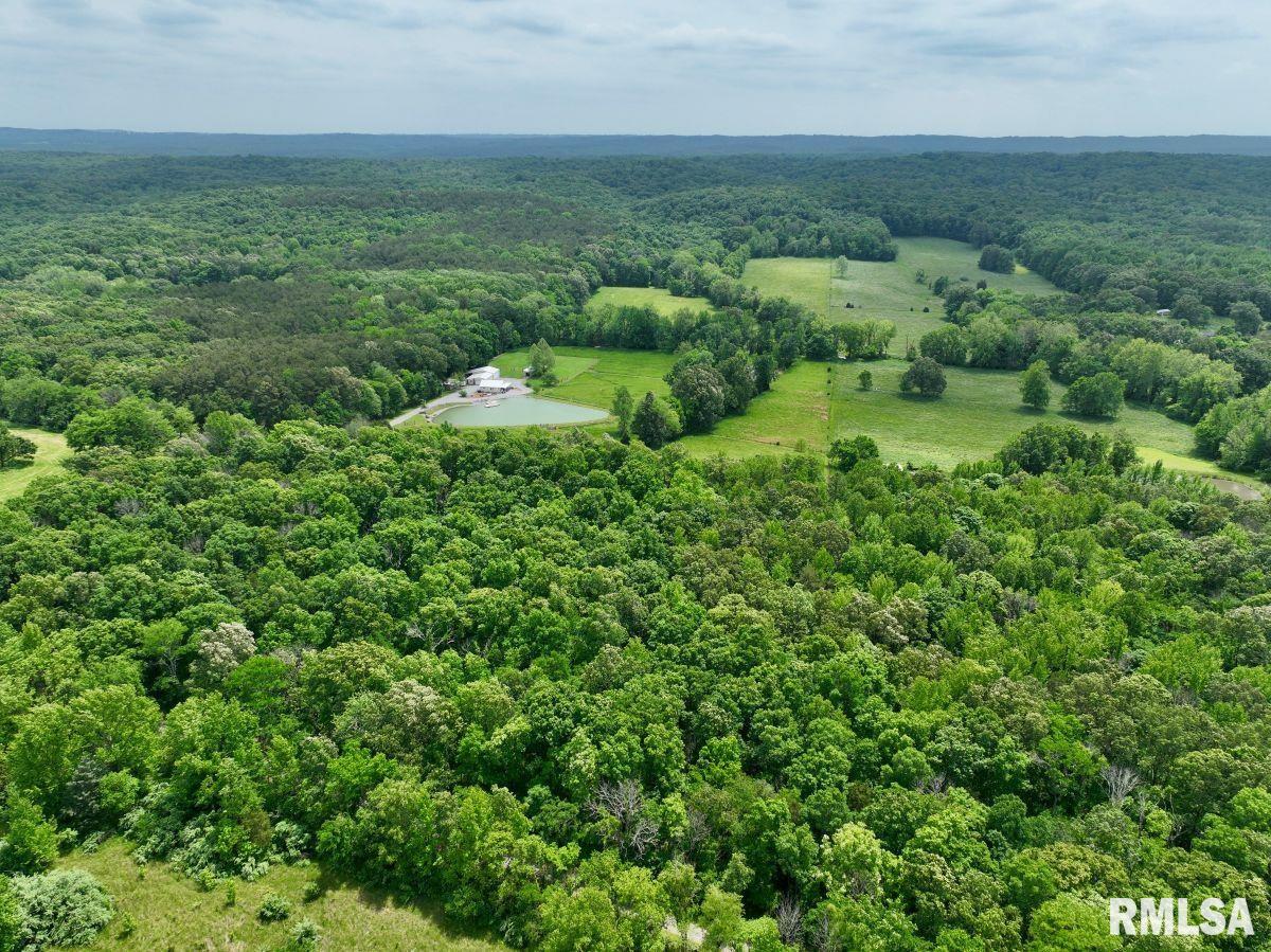 3 Battleford Road Stonefort, IL 62987 - Photo 13 of 25