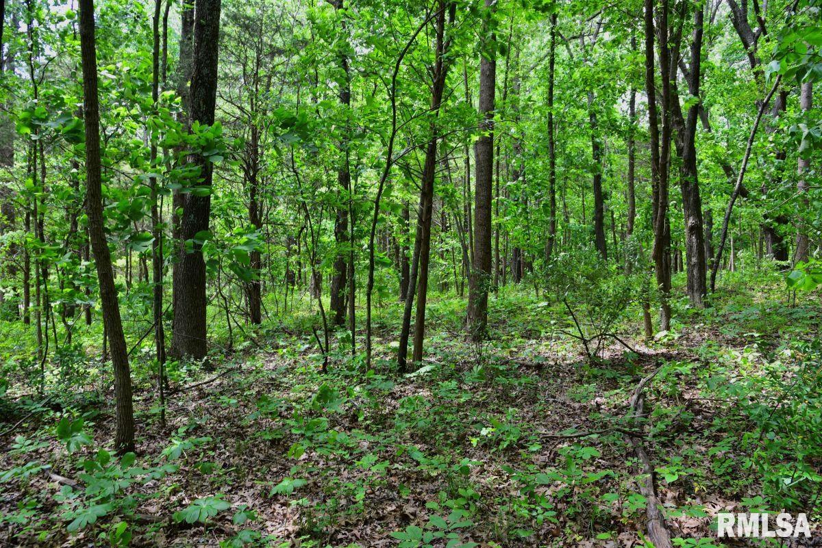 3 Battleford Road Stonefort, IL 62987 - Photo 14 of 25