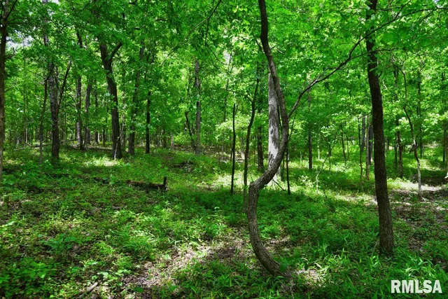 $42,875 | 3 Battleford Road, Stonefort, IL 62987