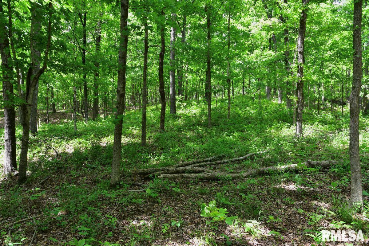 3 Battleford Road Stonefort, IL 62987 - Photo 16 of 25