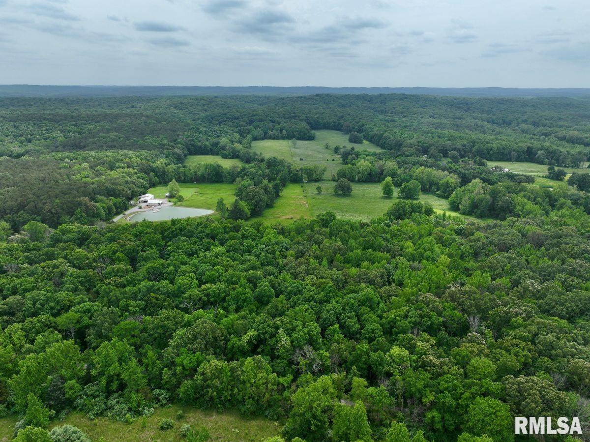 3 Battleford Road Stonefort, IL 62987 - Photo 17 of 25